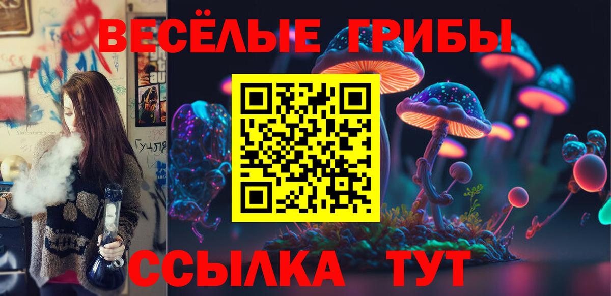 Галлюциногенные грибы Cubensis Каменск-Уральский