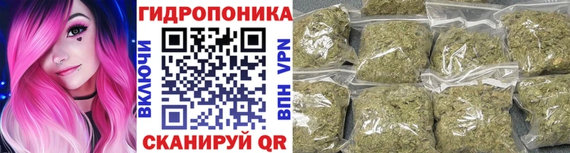 Канабис планчик Каменск-Уральский